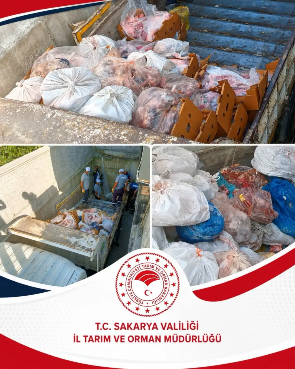 Haber: Hendek'te 5.5 Ton Sucuk yapımında kullanılan Etiketsiz Et Ürününe El Konuldu - Galeri-3