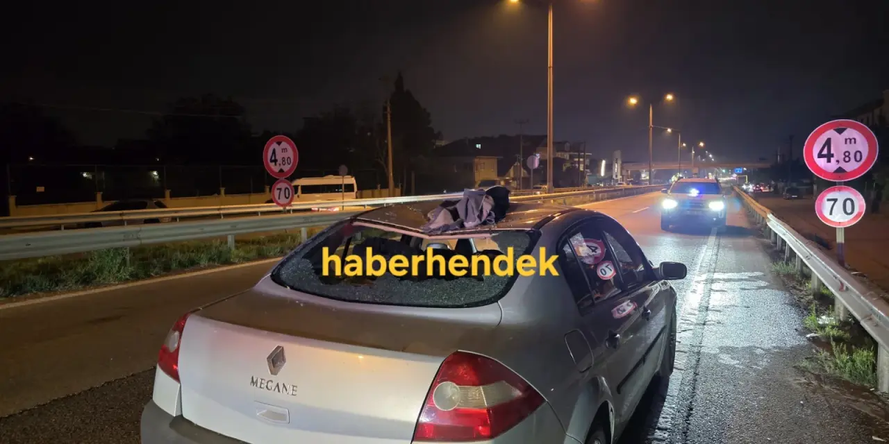 Haber: D-100’de Acı kaza; Yoldan Geçmeye Çalışan Kadın Hayatını kaybetti - Galeri-1