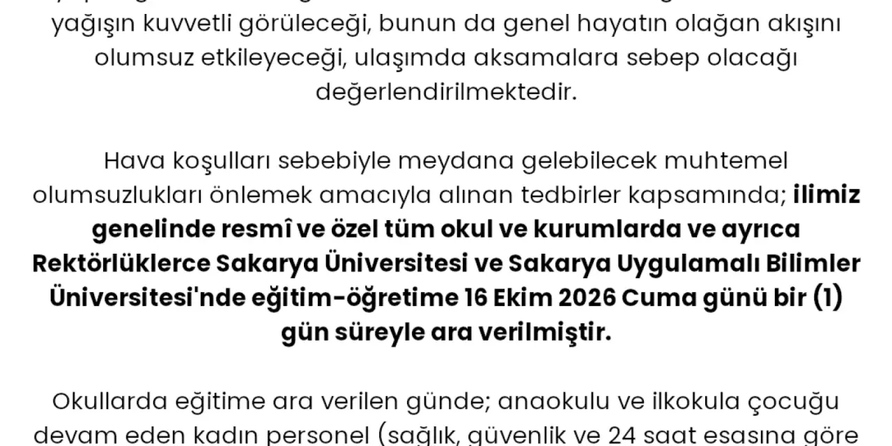 Haber: Hendek'te yarın tüm okullar tatil - Galeri-1