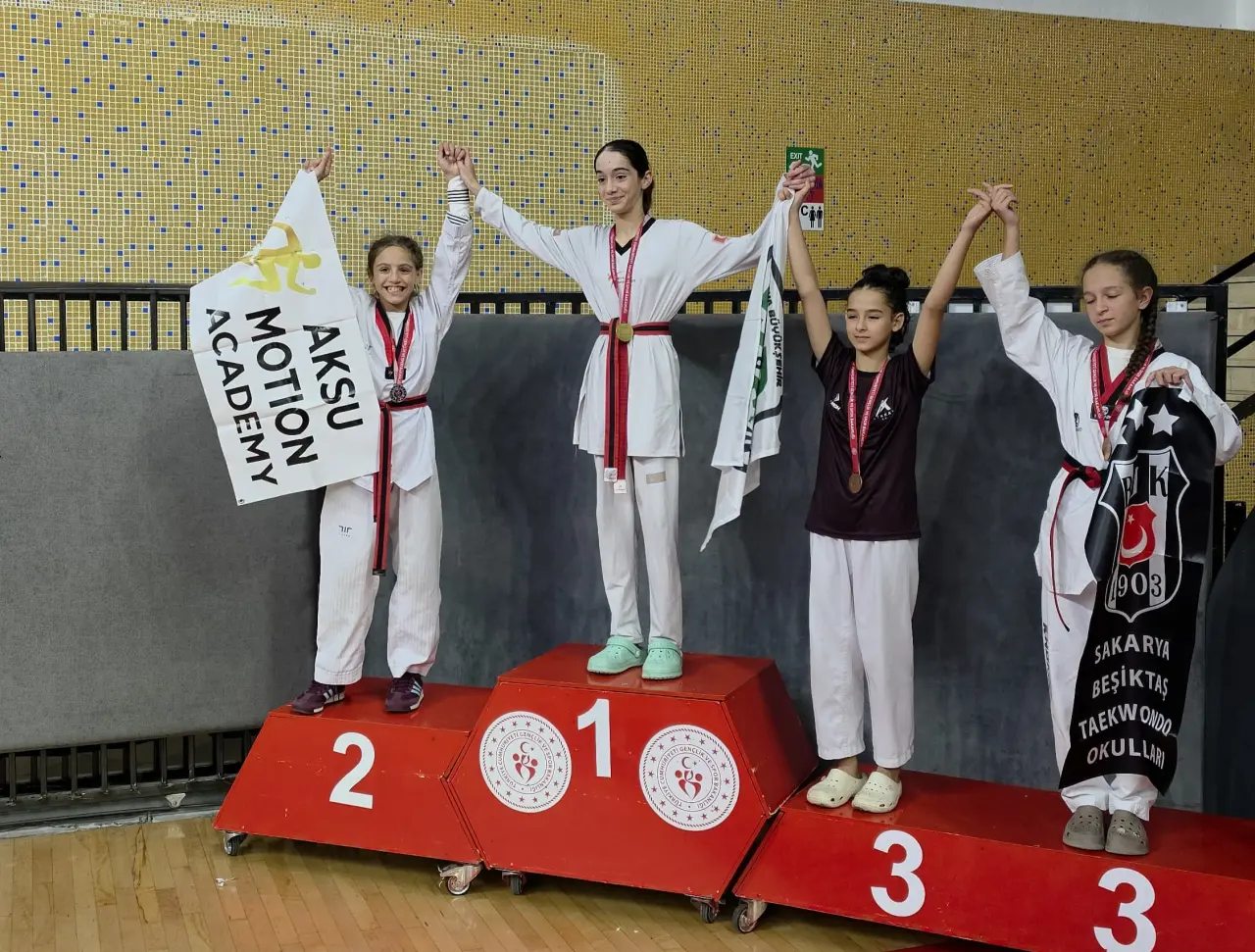 Haber: Hendekli Beren İnan, Taekwondo da Sakarya İkincisi Oldu - Öne Çıkan