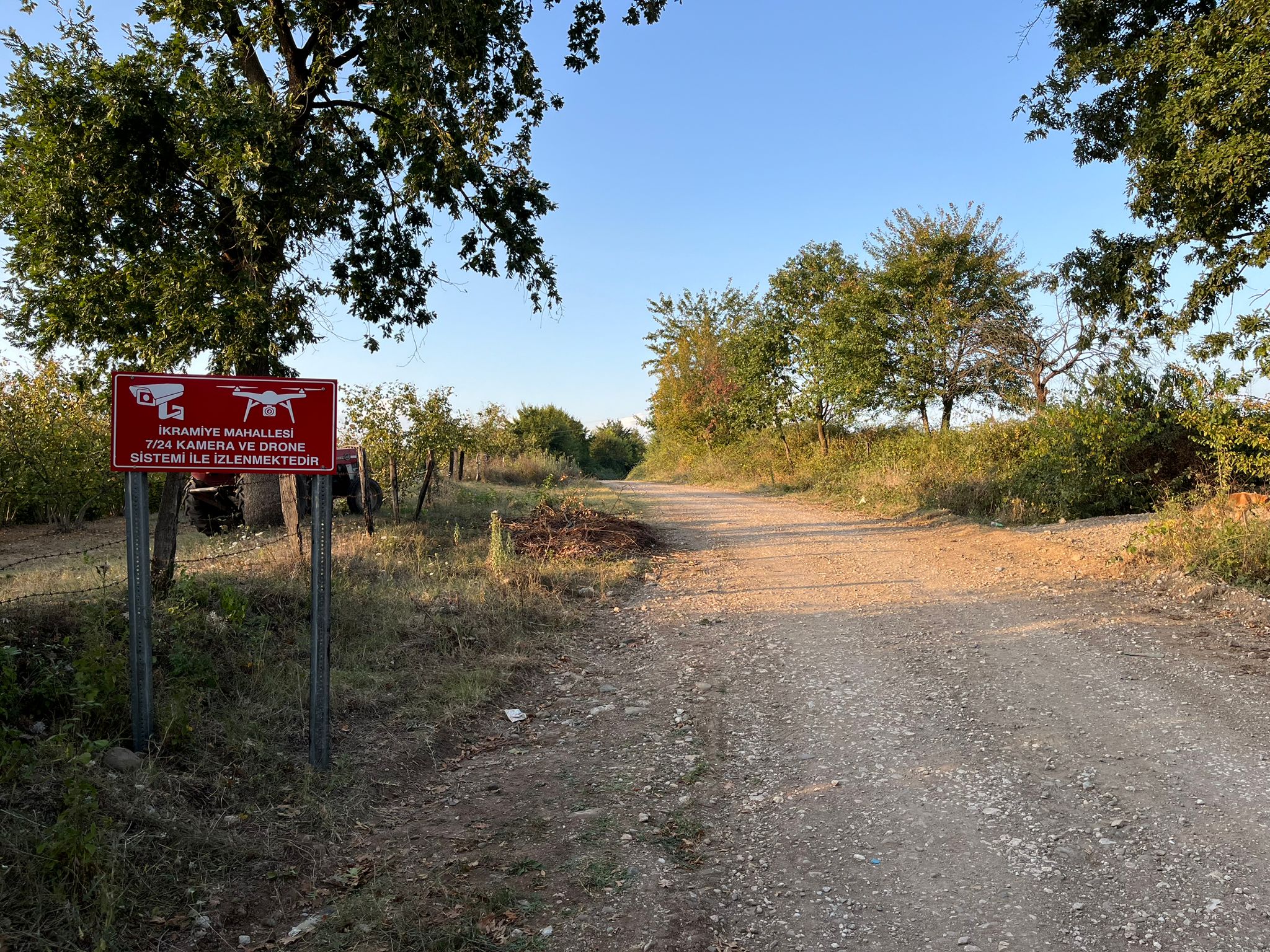 Fındık Hırsızlığına Karşı Güvenlik Kamerası Önlemi Aldılar