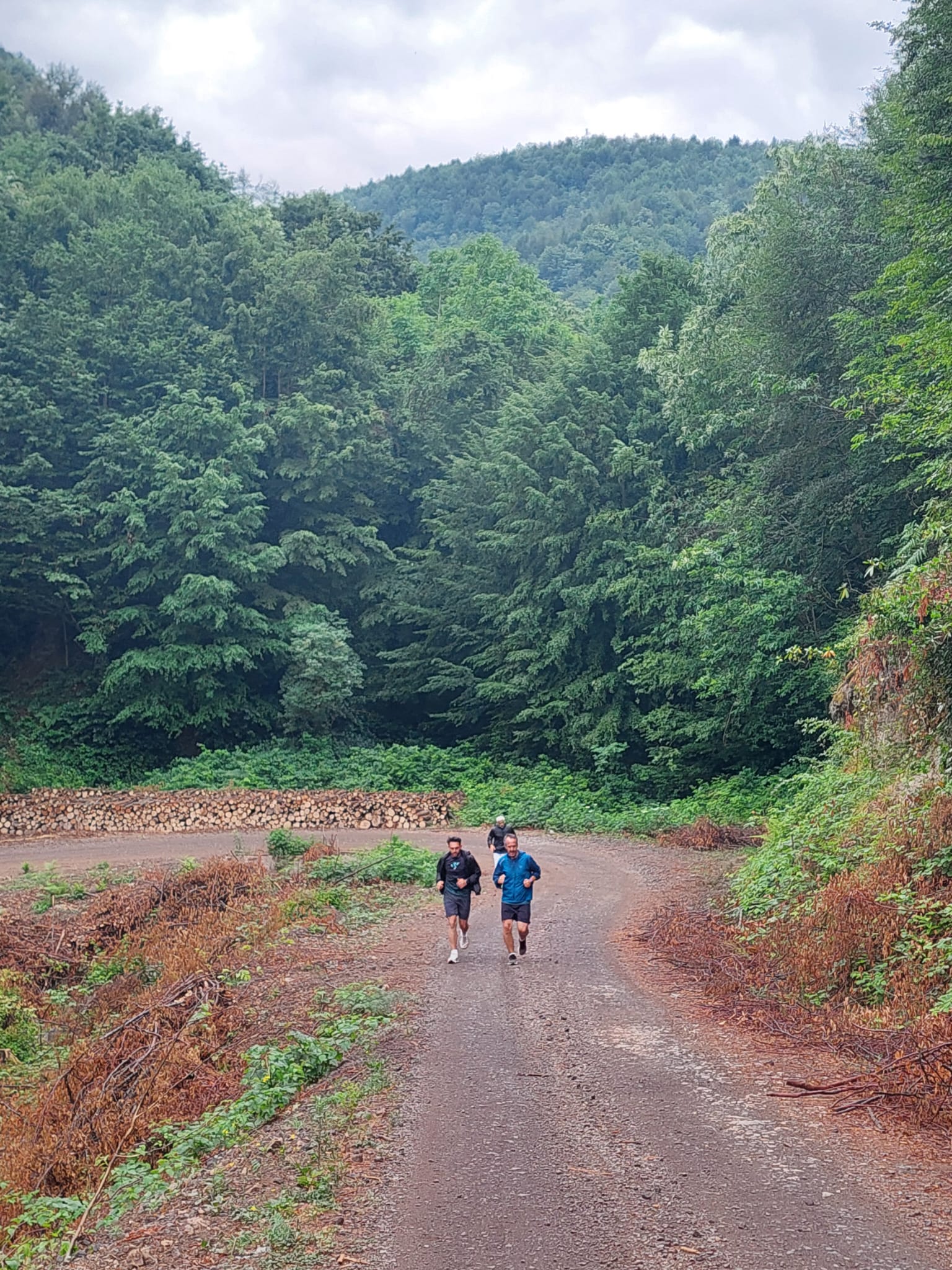 Sakarya'da Koşu Tutkunları Hendek Keramali Yaylası’na Koşarak Ulaştı