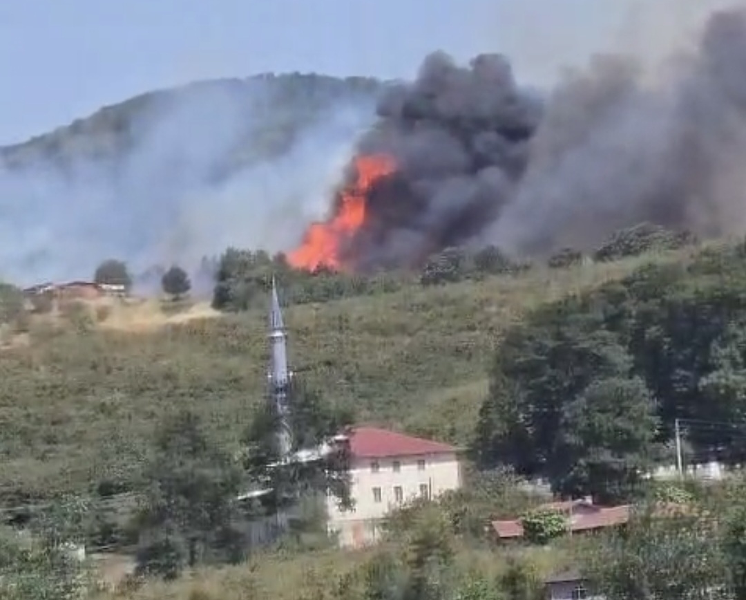 Hacımbey'de Orman Yangını