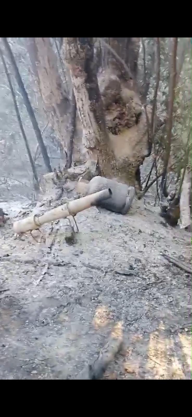 Orman Yangınında ev hapsi cezası