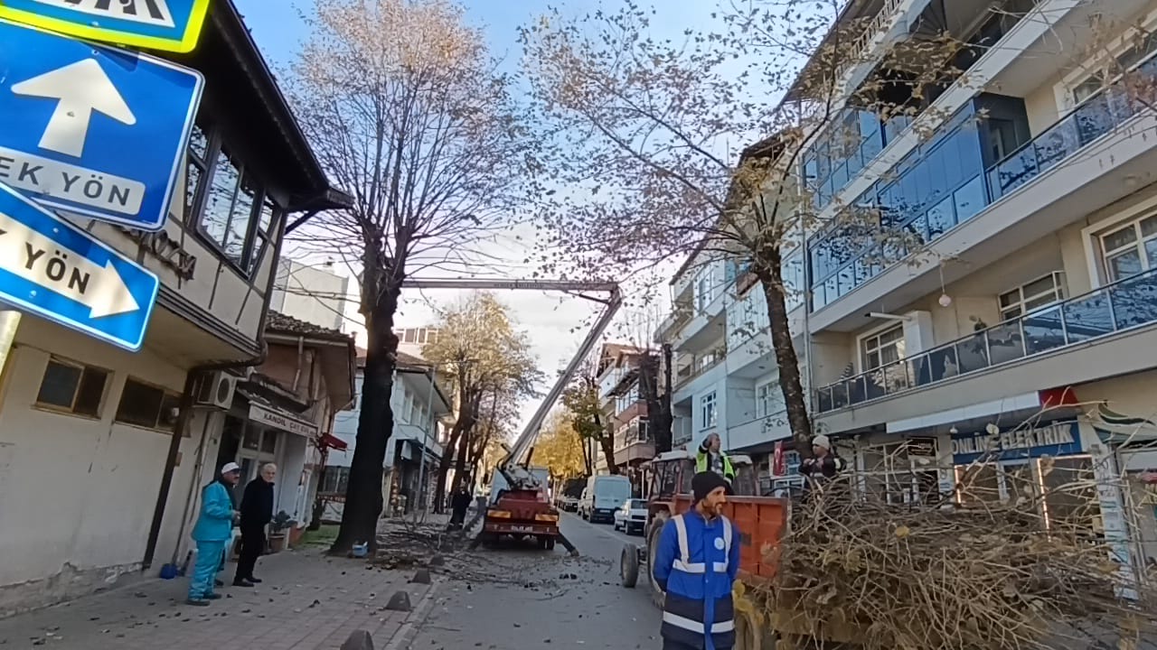 Hendek’te Budama mesaisi