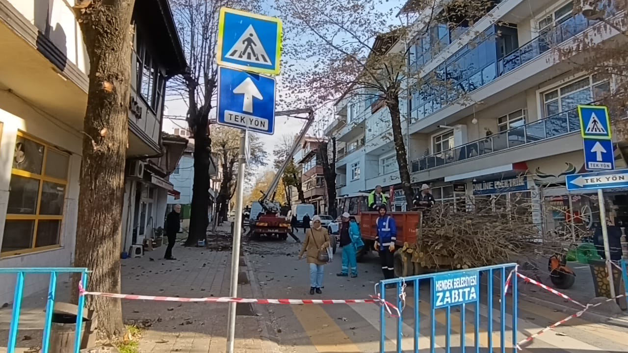 Hendek’te Budama mesaisi