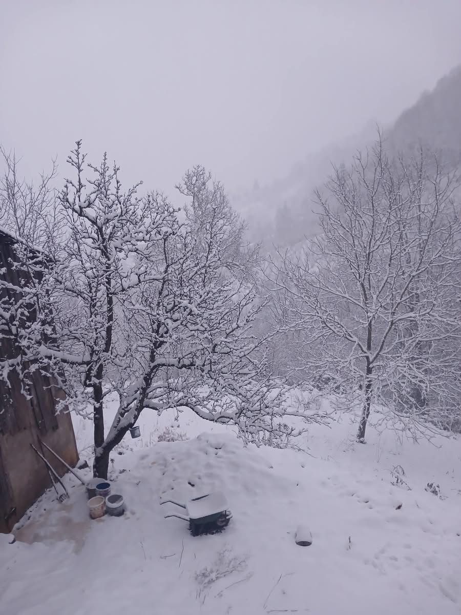 Hendek’te Kar Yağışı Yüksek kesimlerde Etkisini Sürdürüyor