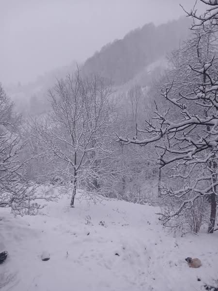 Hendek’te Kar Yağışı Yüksek kesimlerde Etkisini Sürdürüyor