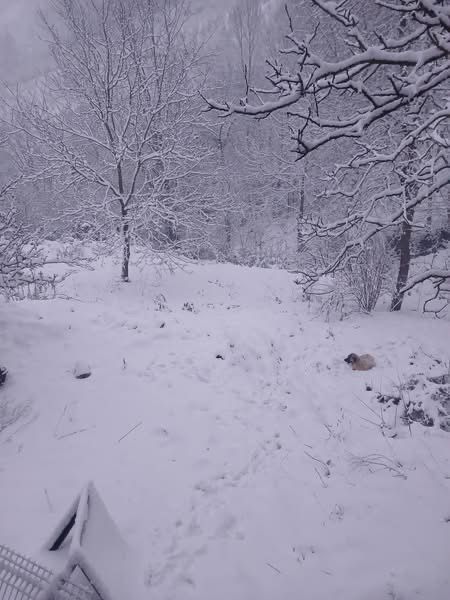 Hendek’te Kar Yağışı Yüksek kesimlerde Etkisini Sürdürüyor
