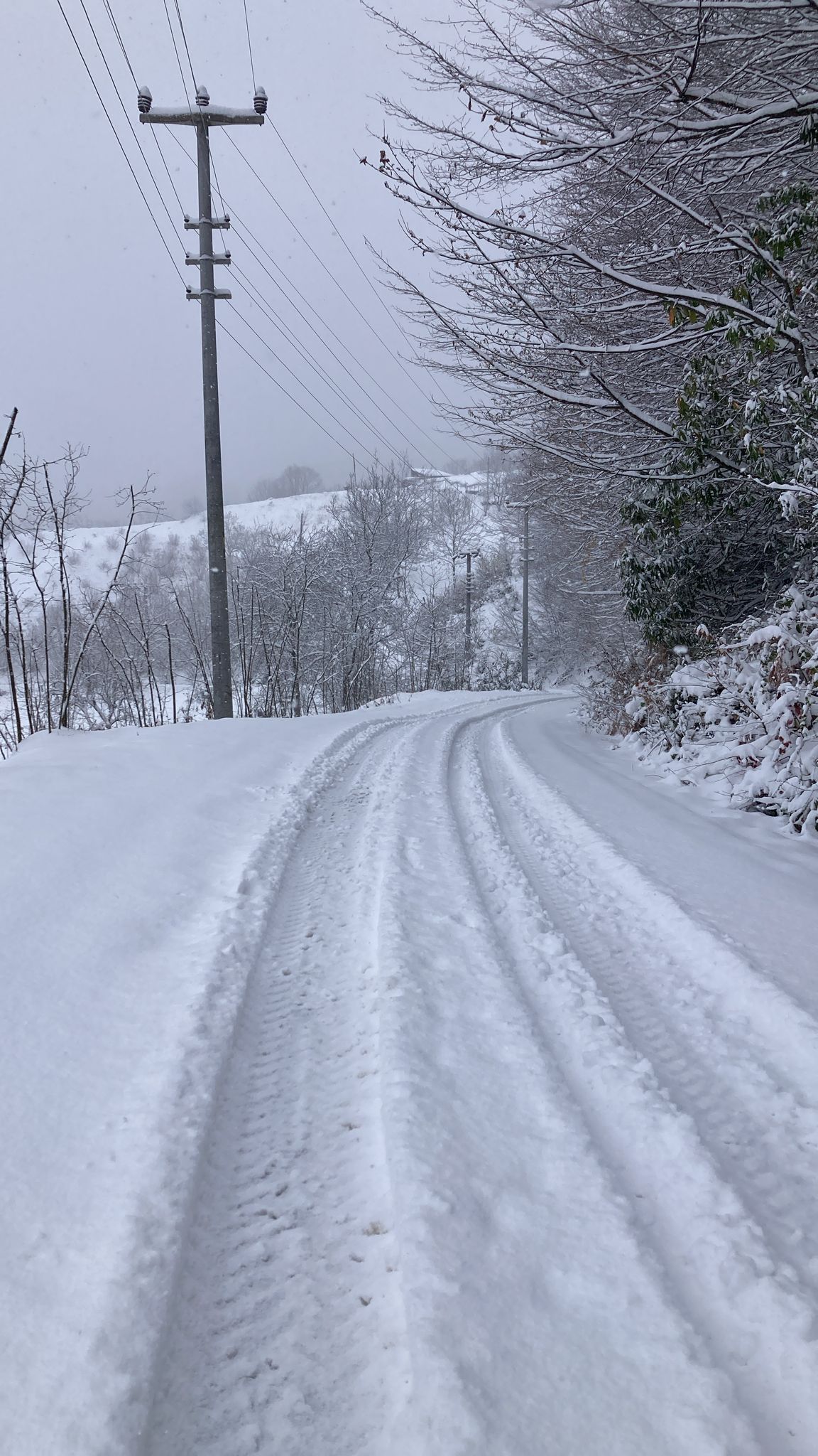 Hendek’te Kar Yağışı Yüksek kesimlerde Etkisini Sürdürüyor