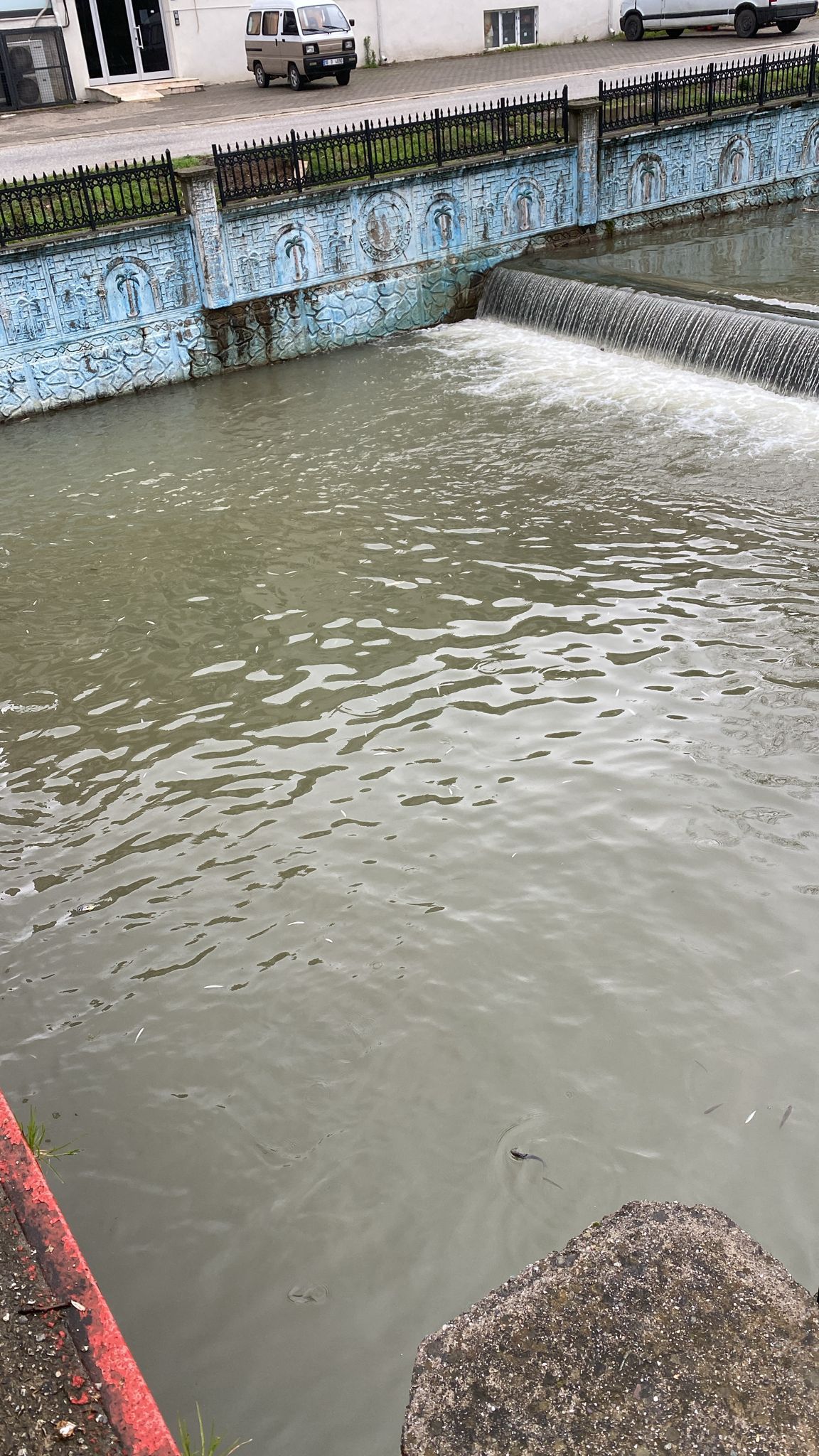 Uludere Çayı'nda Balık Ölümleri tedirgin etti