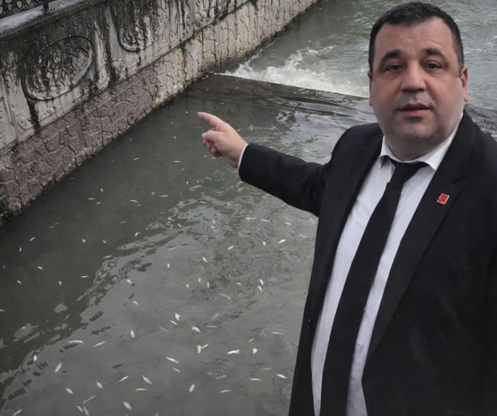 ADANIR; DOĞAMIZA SAHİP ÇIKMAK ORTAK SORUMLULUĞUMUZ