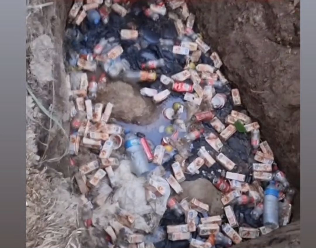 Barınak arkasında çukurlara atılmış ölü köpekler