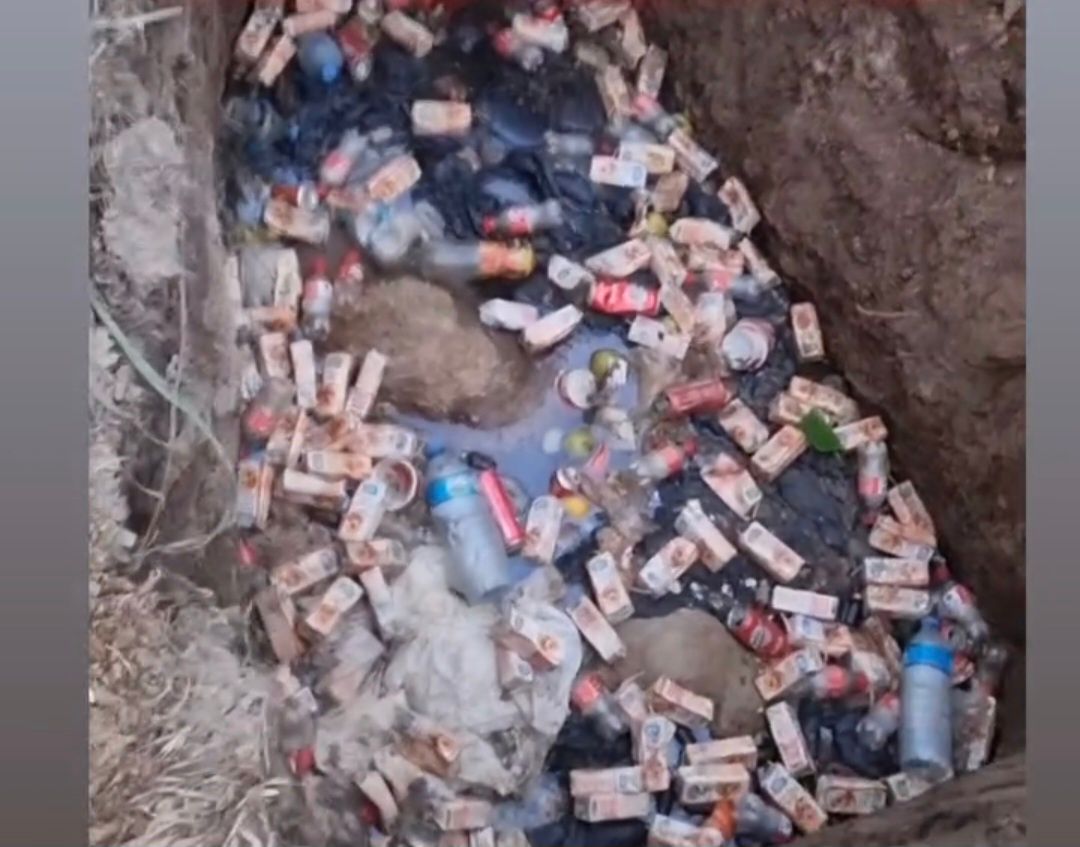 Albayrakoğlu; Ne Sokaklar Tehlikeye Atılmalı Ne Hayvanlara Zulmedilmeli