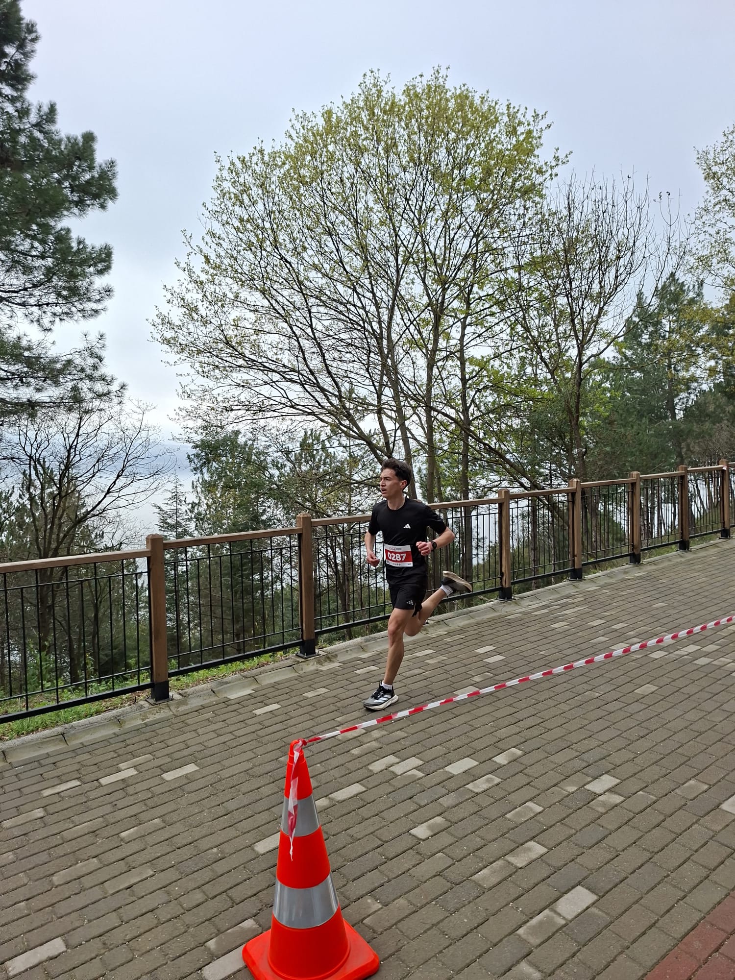 Sakarya 1. Bahar Kosusunda Hendek Damgası