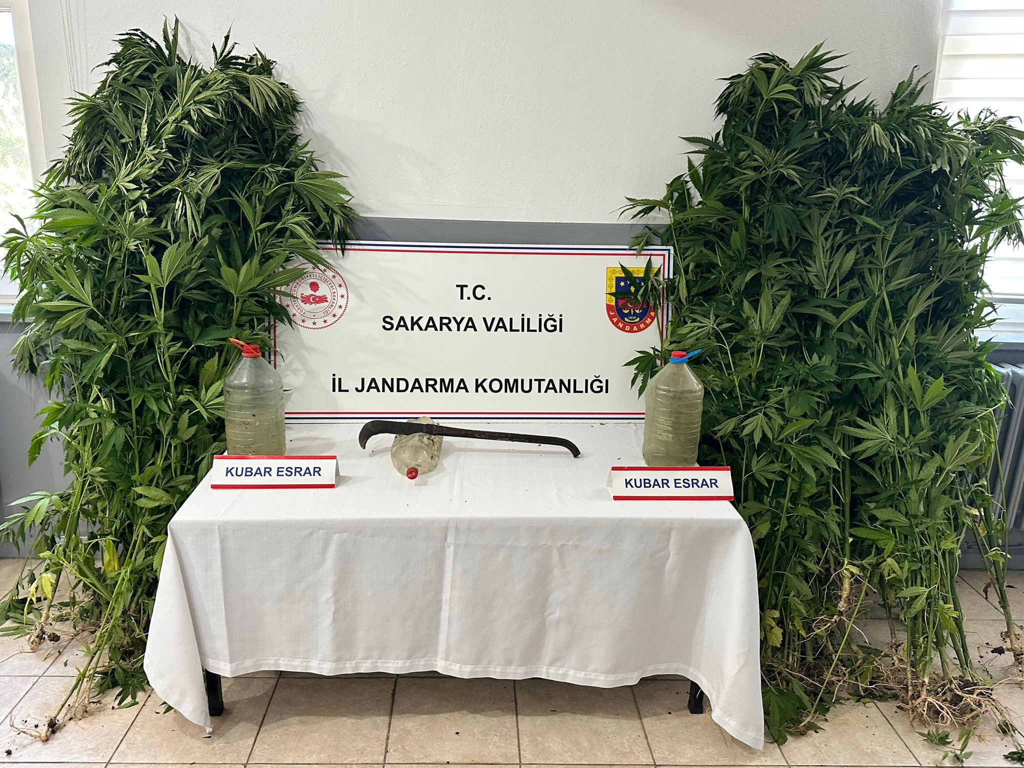 Jandarma'dan Uyuşturucu Operasyonu