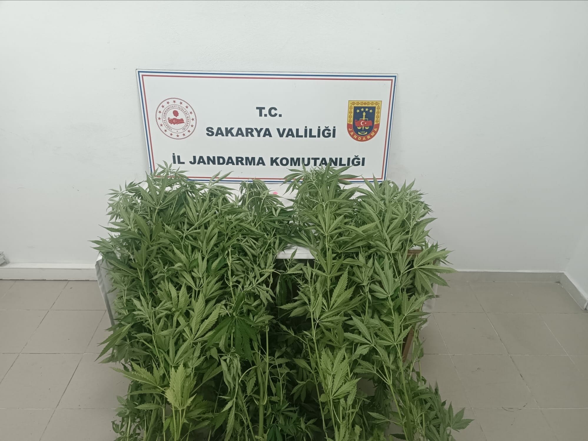 Jandarma'dan Uyuşturucu Operasyonu