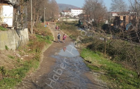 Vatandaş sokak yoluna çözüm bekliyor