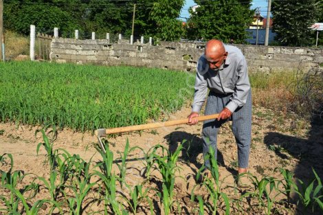 110 yaşinda ki zekeriya dede gençlere taş çikartiyor