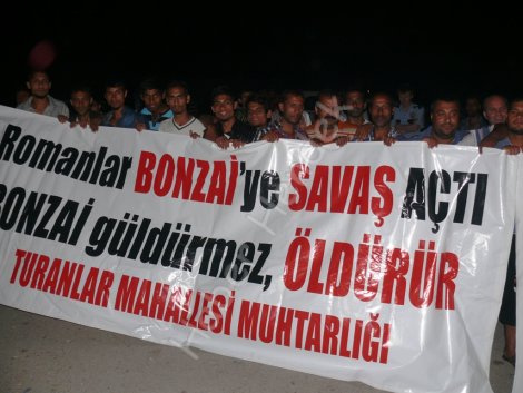 Hendek’te bonzai alarmi!