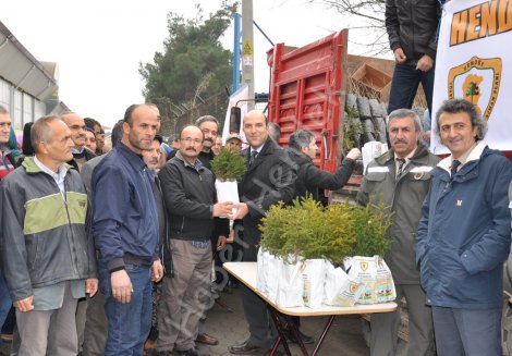 Hendek orman işletmeyeni yila fidan dağitarak girdi