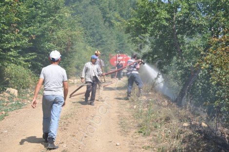 Güney köyü’nde çikan yanginda bir ev ve 8 hektar findiklik yandi