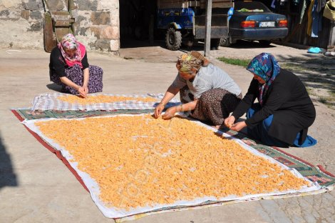 Hendek aksu köyünde kadinlar kişa hazirlik yapiyor