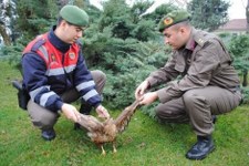 Jandarma’danyarali doğan’a şefkat eli