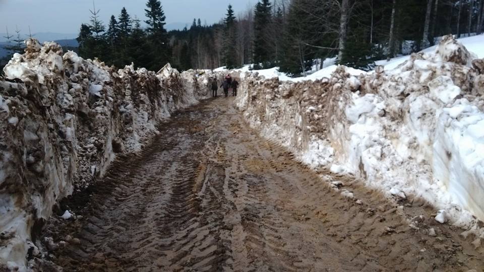 DİKMEN YAYLA YOLU AÇILDI