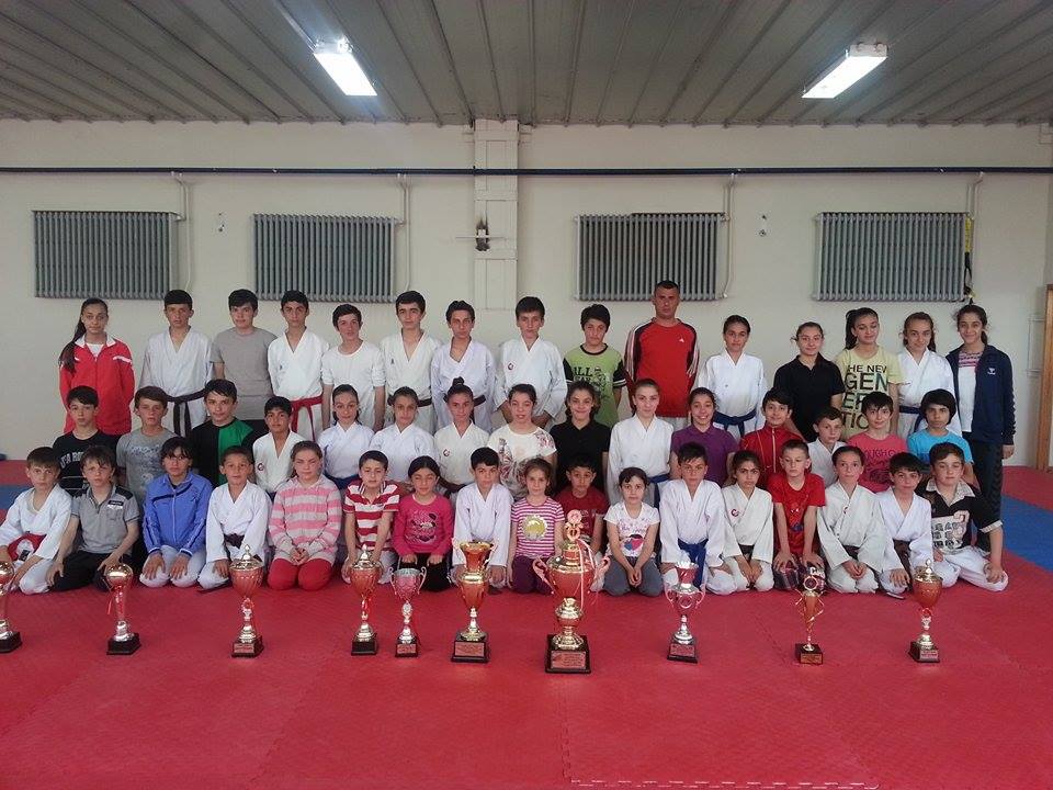 Geleneksel Sakarya karate ligi sona erdi.