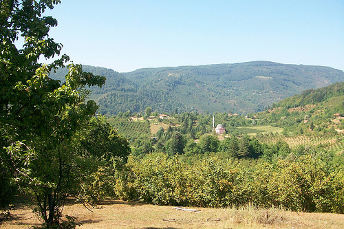 Ormanlık alanda kum-çakıl ocağı