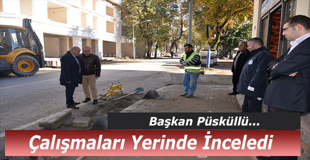 Başkan Püsküllü çalışmaları inceledi