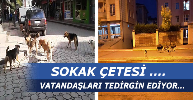 Sokak Çetesi Korku Salıyor