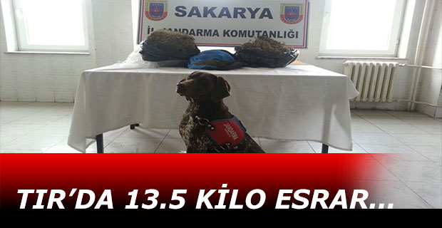 Tır'da 13.5 Kilo Esrar Çıktı