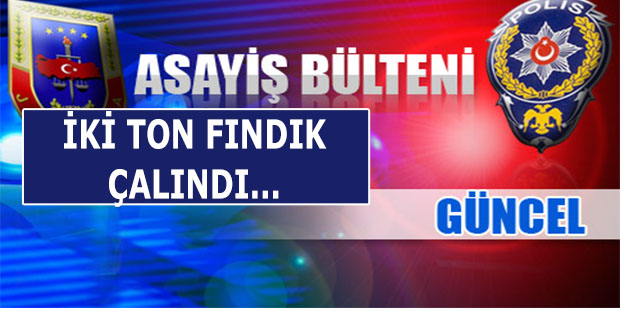 Hendek’te Asayiş olayları, 2 Ton Fındık Çalındı