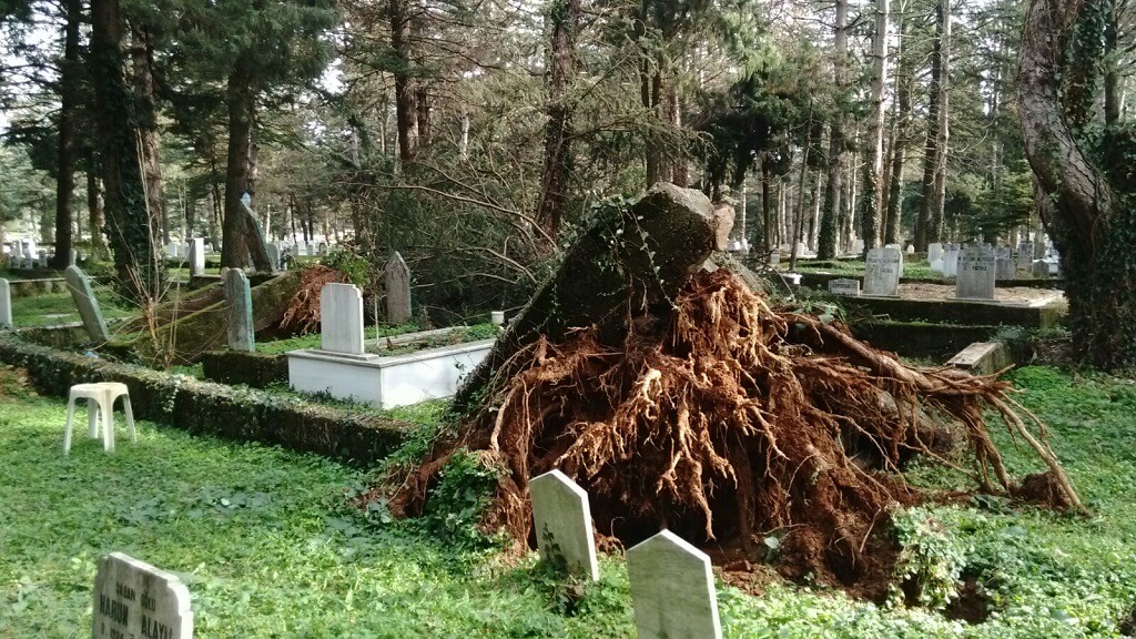 Hendek Kabristanlığı Allah'a Emanet