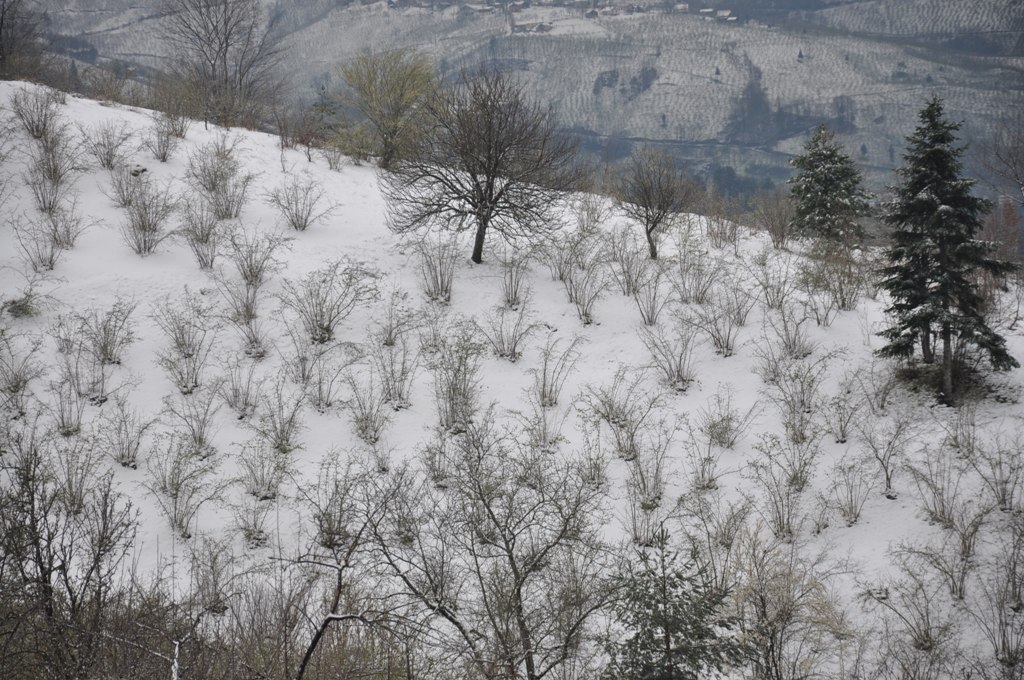 Hendek Kaymakamlık’tan meteorolojik uyarı geldi.