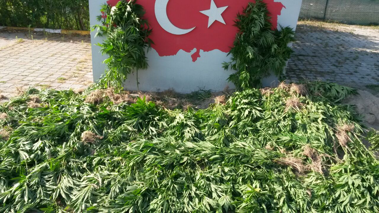 Jandarma Uyuşturucuya Darbe Üstüne Darbe Vuruyor