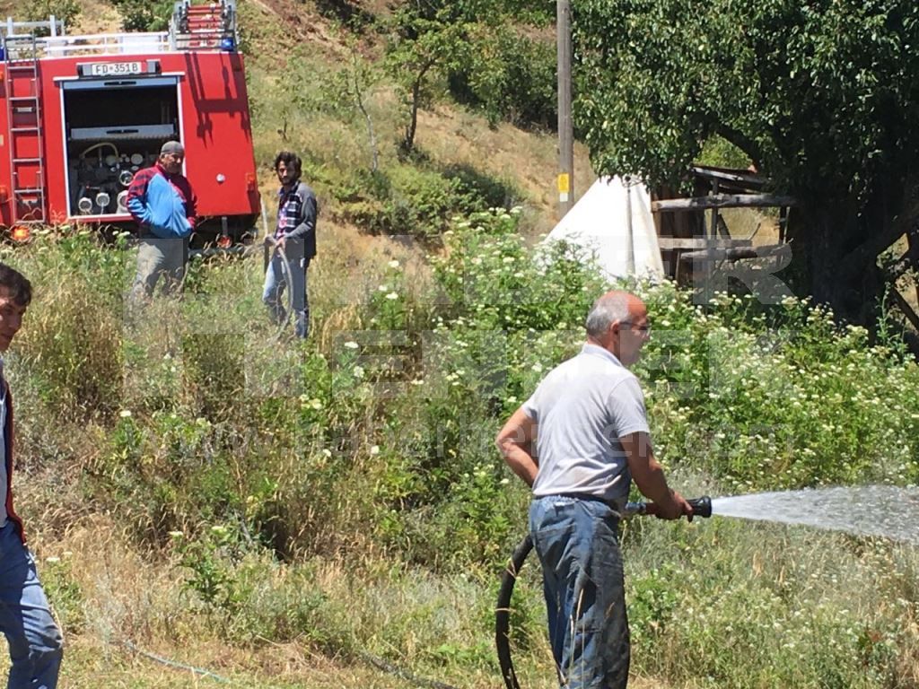 Fındık Bahçesi Kül Oldu