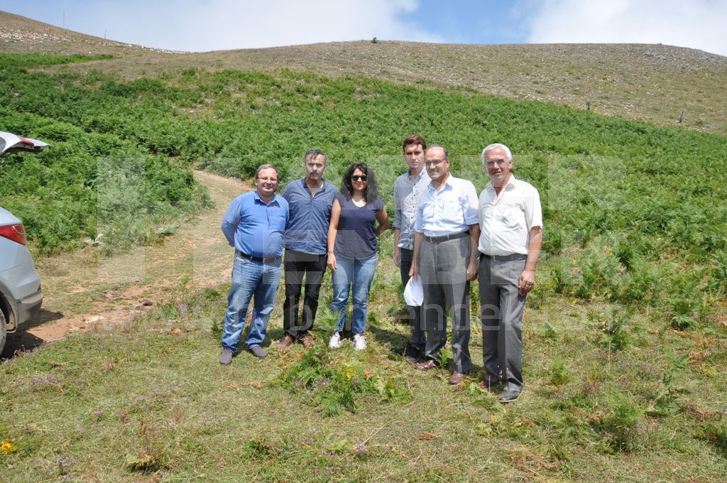 Zirvede Planlama Ve İnceleme Çalışmaları