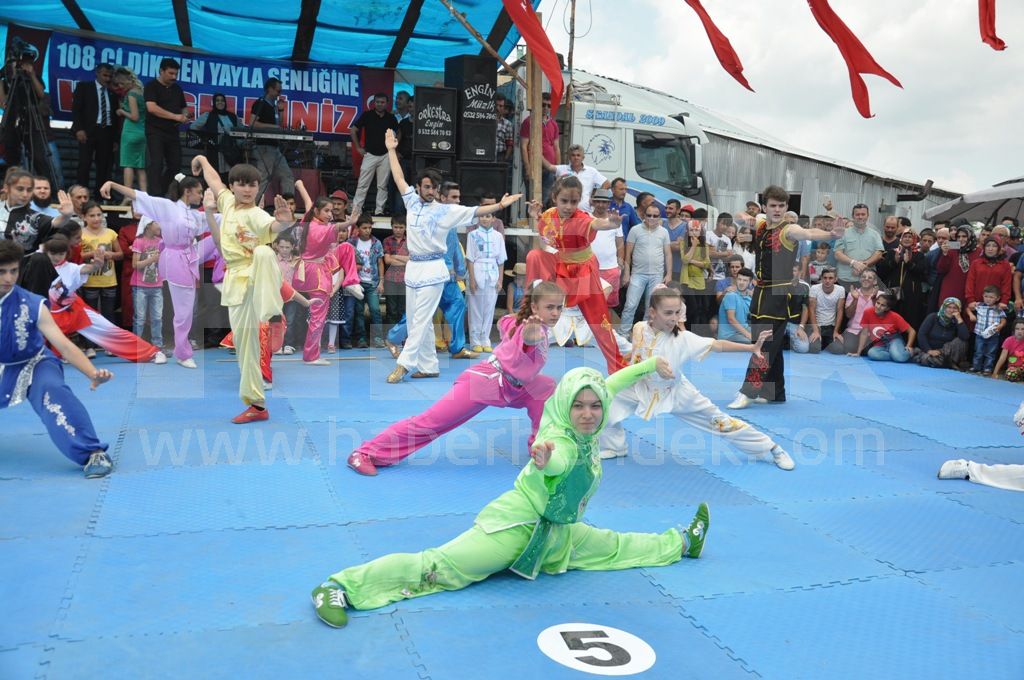 Türkiye Wushu Milli Takımı Zirvede