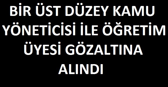Üst Düzey Kamu Yöneticisi ve Öğretim Üyesi Gözaltına Alındı