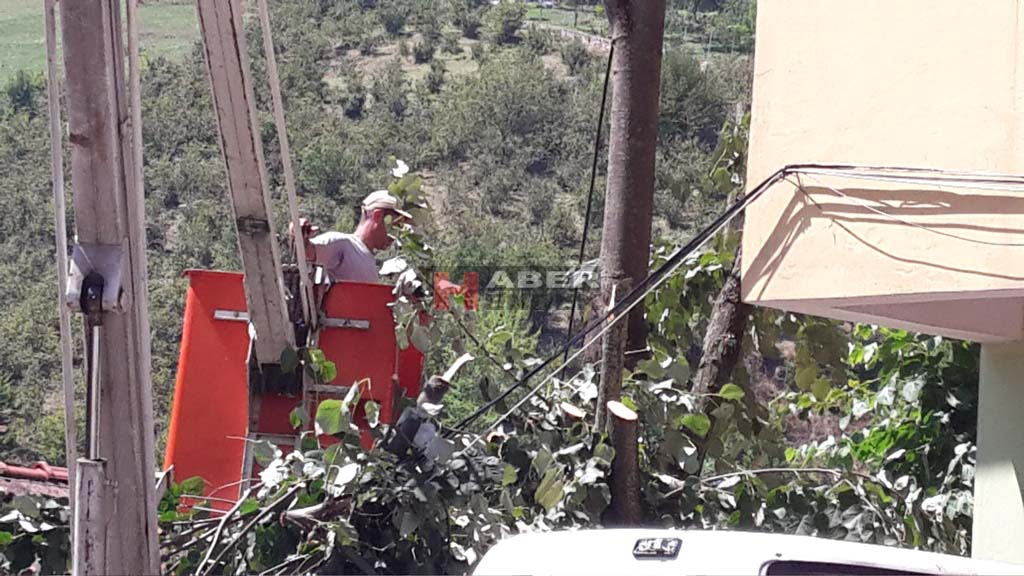 TELE GELEN DALLAR KESİLDİ