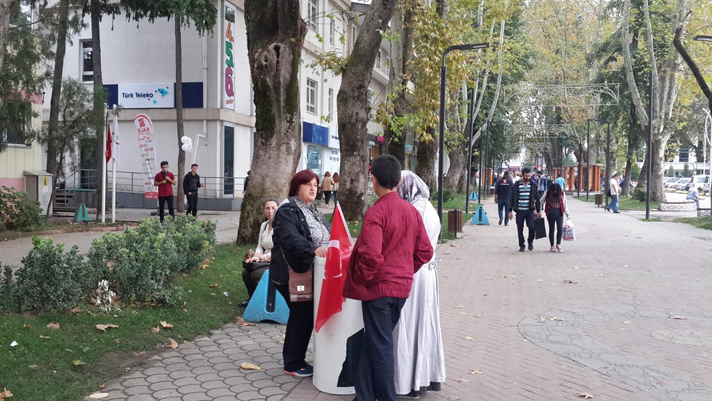 CHP Kadın Kolları İmza Kampanyası Başlattı