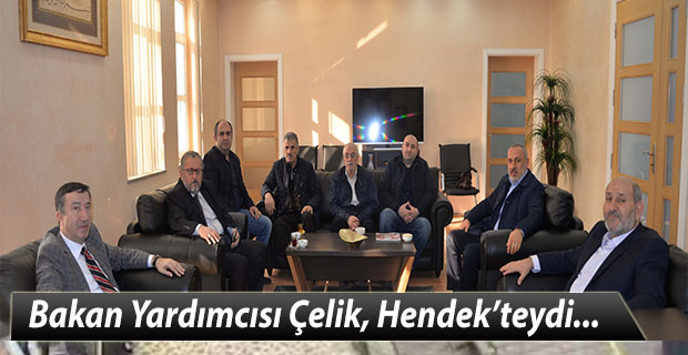 Bakan Yardımcısı Çelik, Hendek’teydi