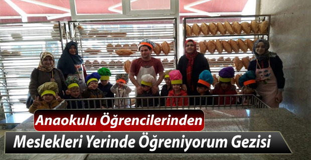 Anaokulu Öğrencilerinden Meslekleri Yerinde Öğreniyorum Gezisi