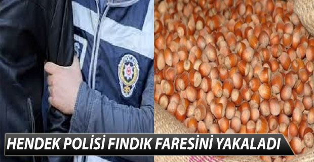 HENDEK POLİSİ FINDIK FARESİNİ YAKALADI