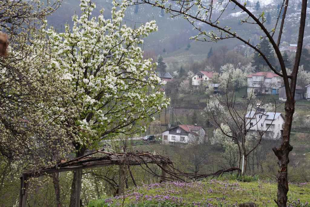 Kar Eridi Zirai Don Tehlikesi Devam Ediyor