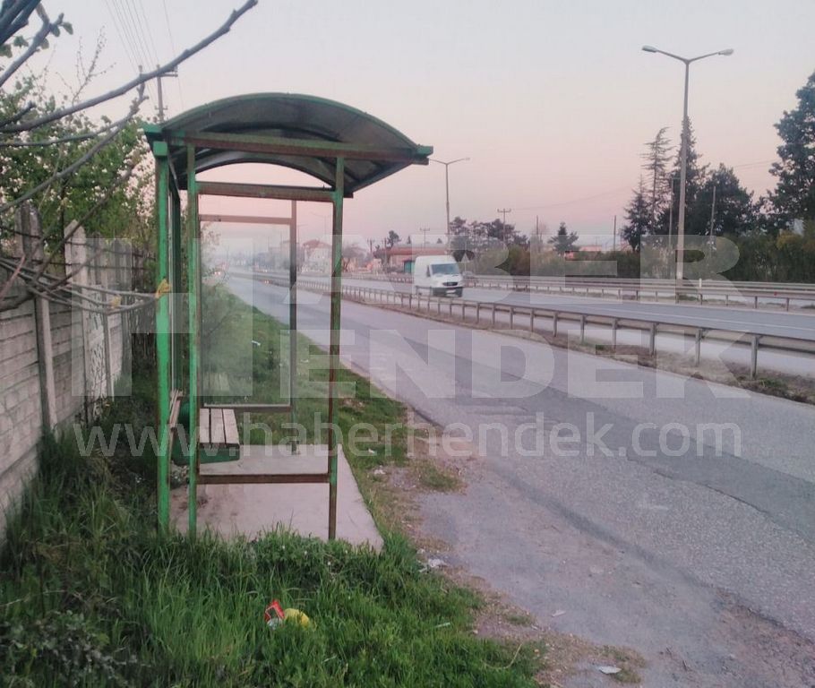 ÇİLE VATANDAŞ ÇİLE