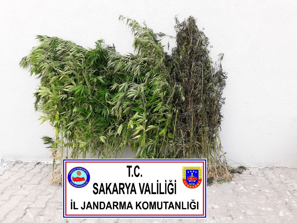 Jandarmadan Uyuşturucuya Geçit Yok